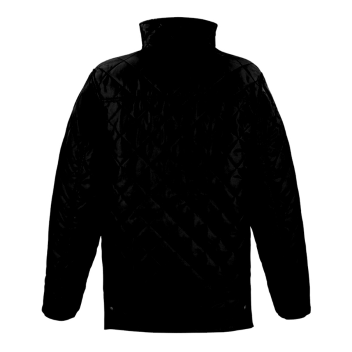 Back