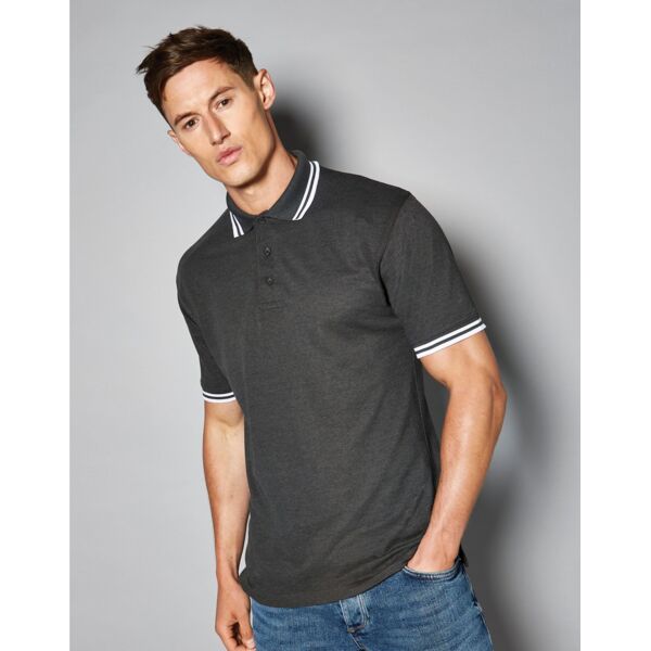 Classic Fit Tipped Collar Polo Thumbnail